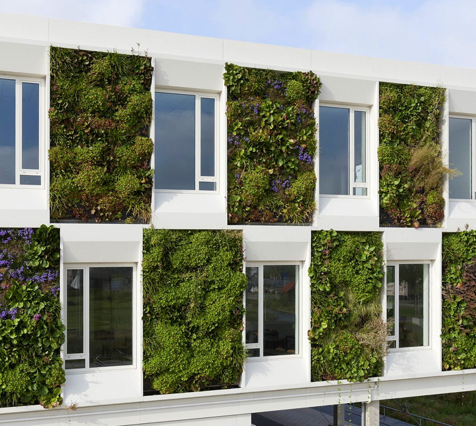 creatief steek voor mij Groene gevel - Plantenwand buiten - WallFlore - Innovatief verticaal groen